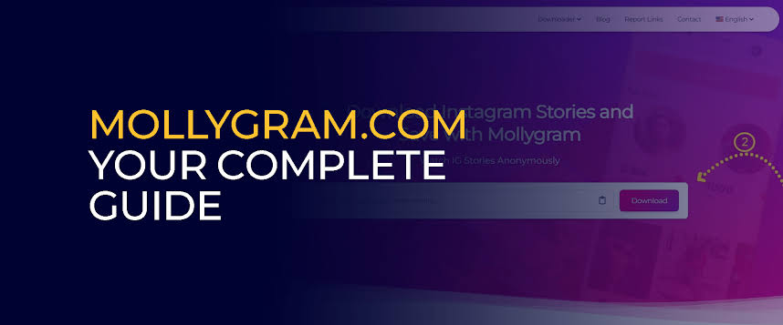 mollygram. com